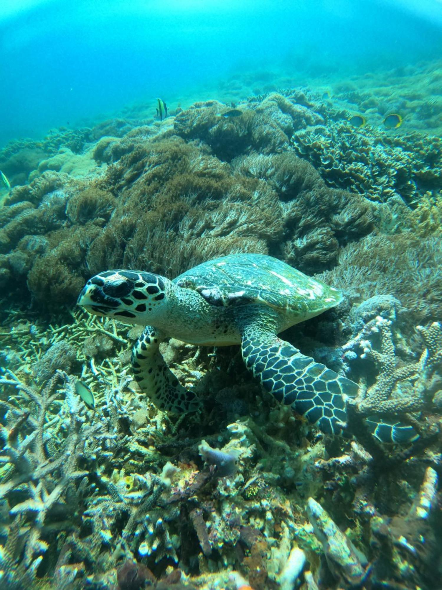 Apartmán D'Waktu In House Lembongan Exteriér fotografie